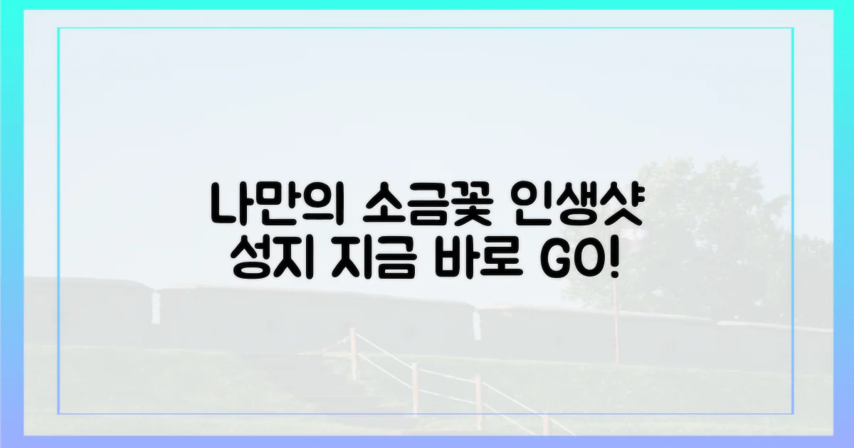 나만의 '소금꽃' 여행, 어떻게?