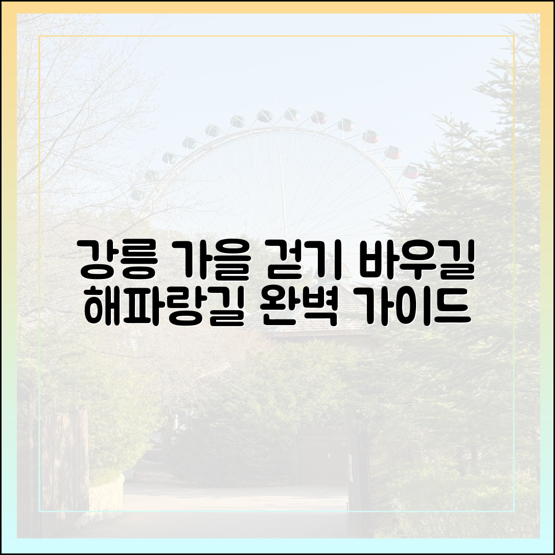 강릉 바우길·해파랑길 가을 걷기 여행 완벽 가이드