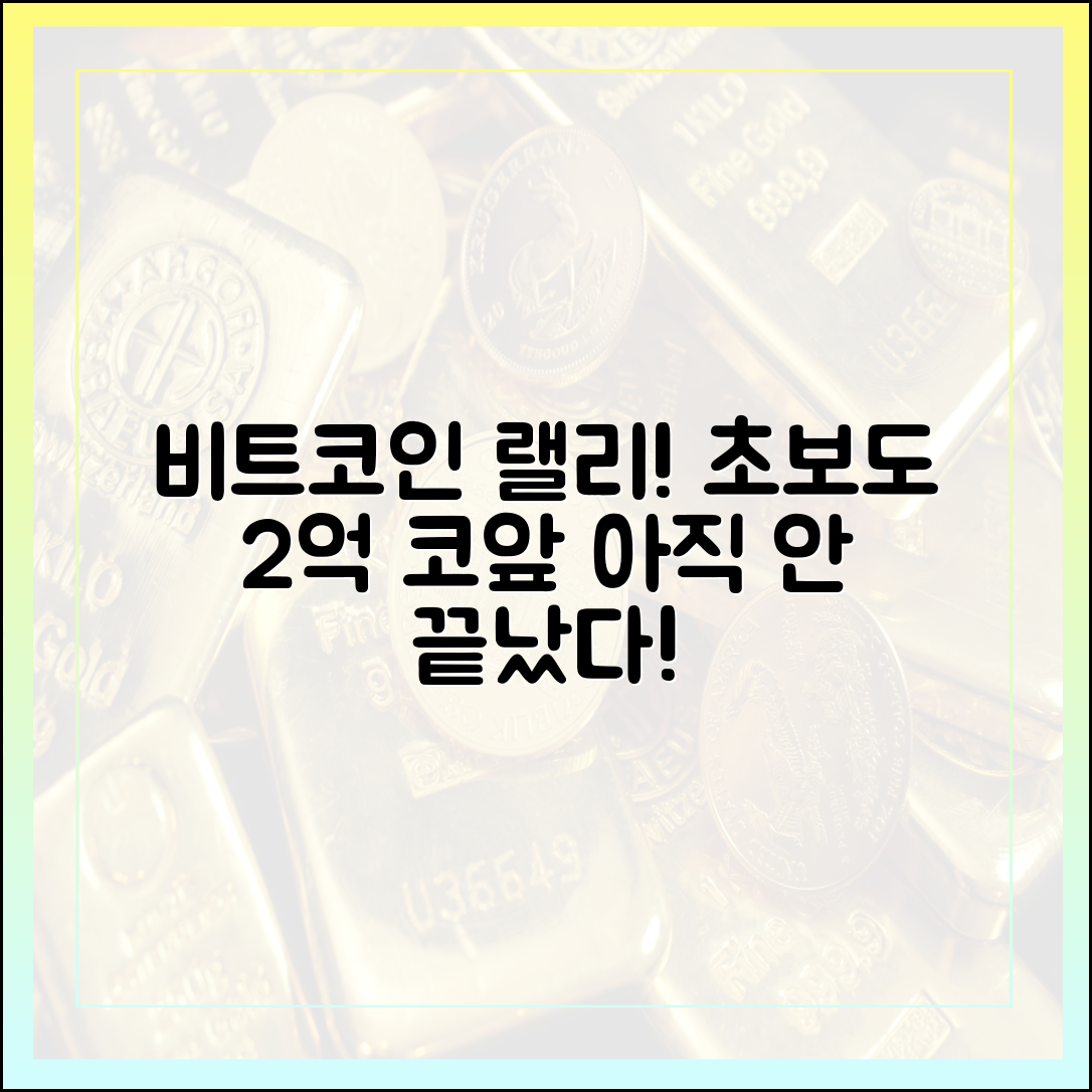 초보도 2억 코앞 비트코인 랠리, 아직 안 끝났다!