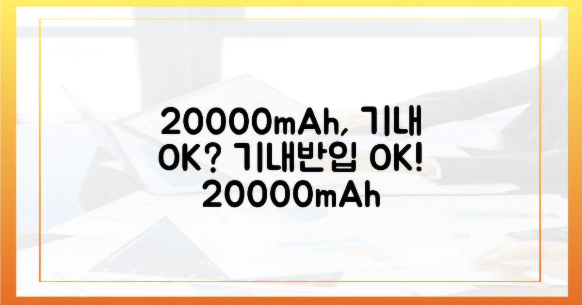 20000mAh, 기내 반입 문제없을까?