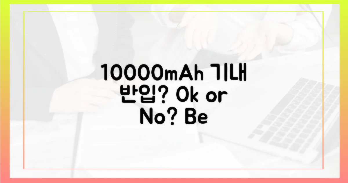 10000mAh 보조배터리, 기내 반입 가능할까?