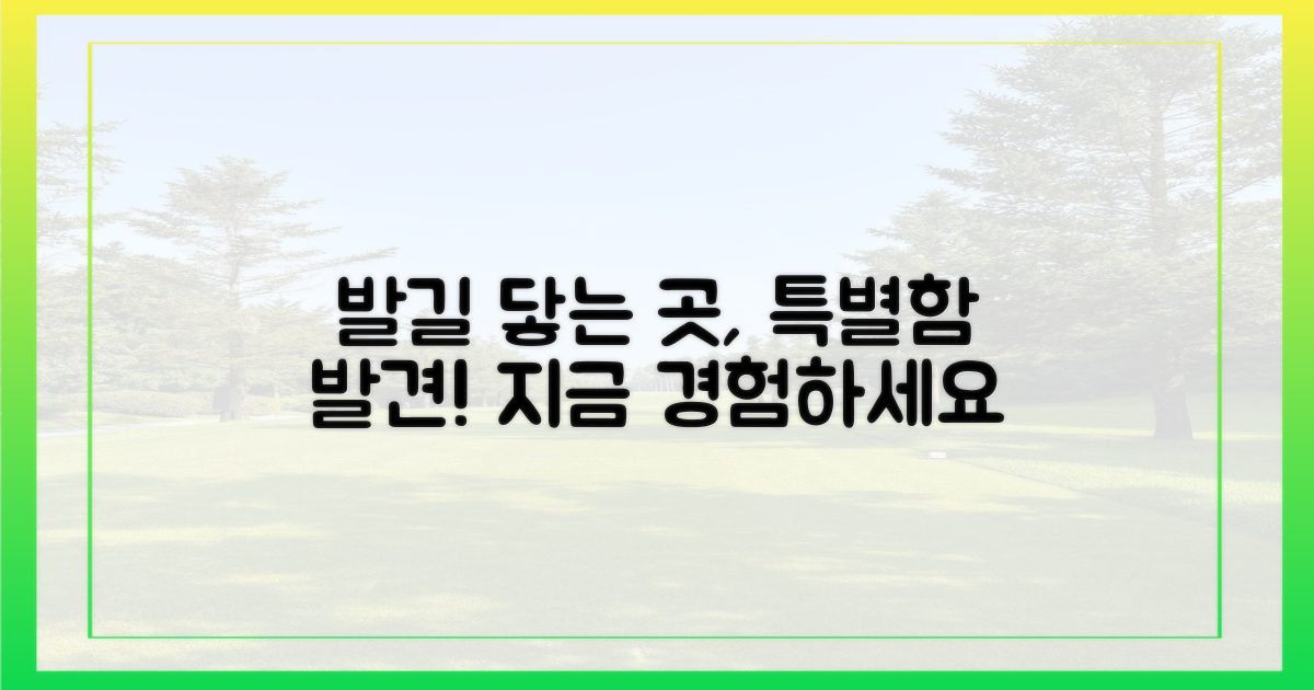 발길 닿는 곳마다 특별함