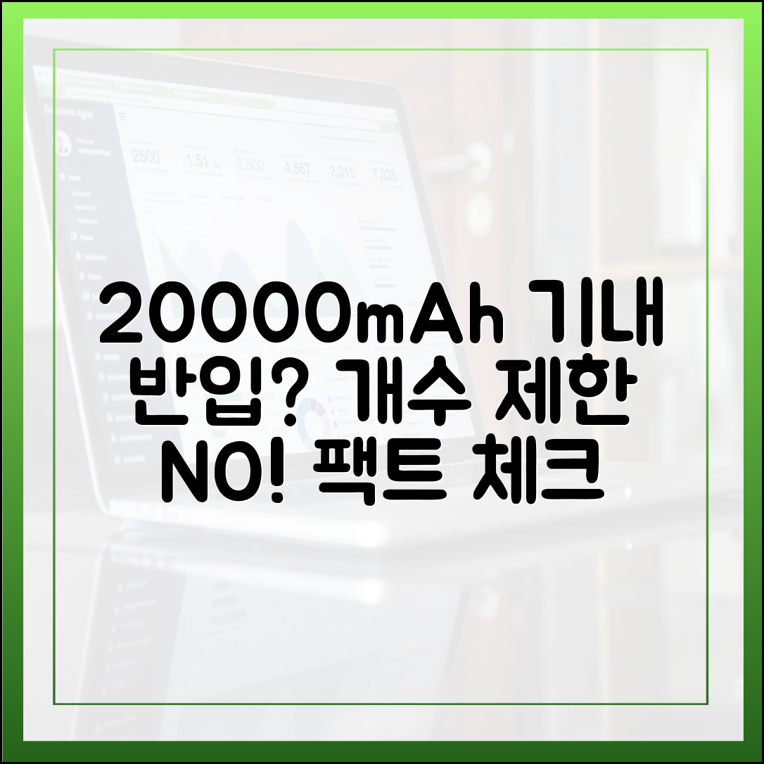 20000mAh 보조배터리 기내 반입, '개수 제한'에 대한 최신 팩트체크