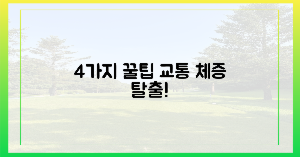 4가지 교통 팁