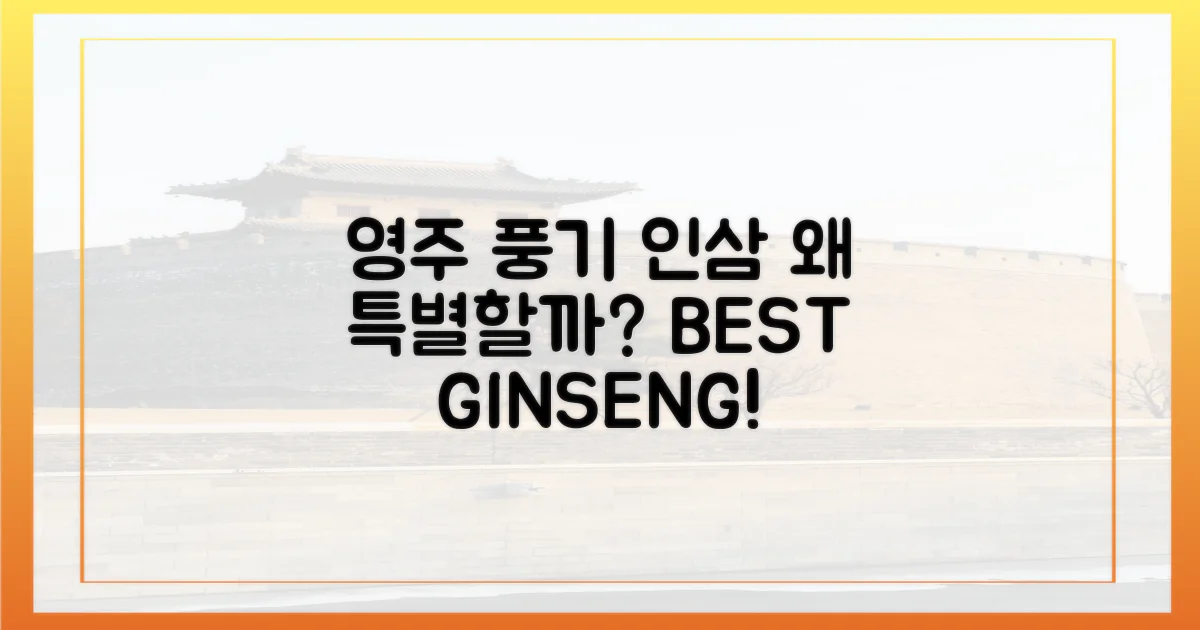 왜 영주풍기인삼이 특별할까?