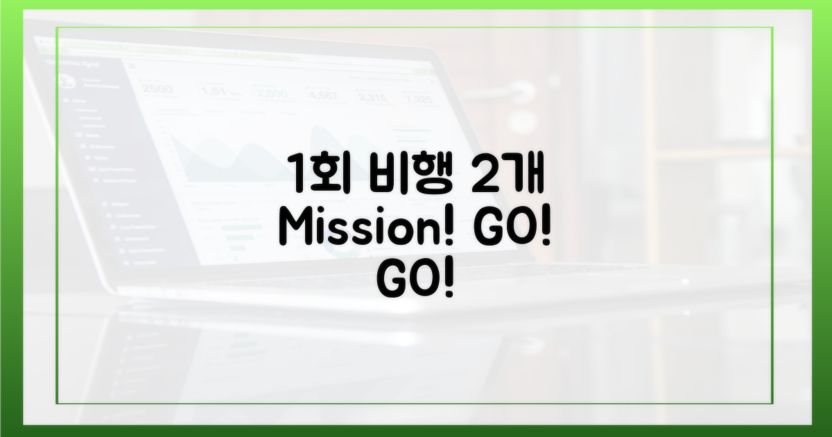 1회 비행 2개