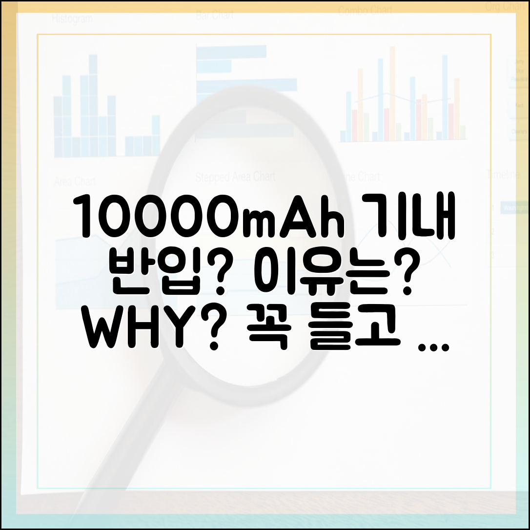 10000mAh 보조배터리, 왜 기내에 직접 들고 타야 할까?