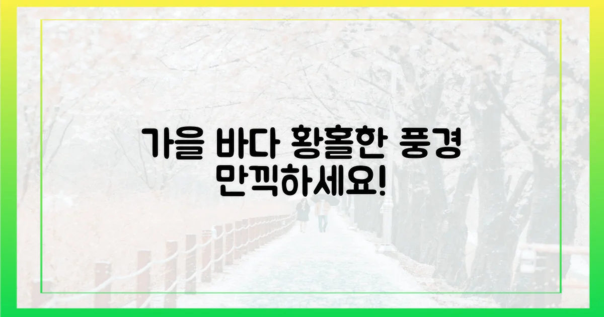 가을 바다를 만끽하세요!