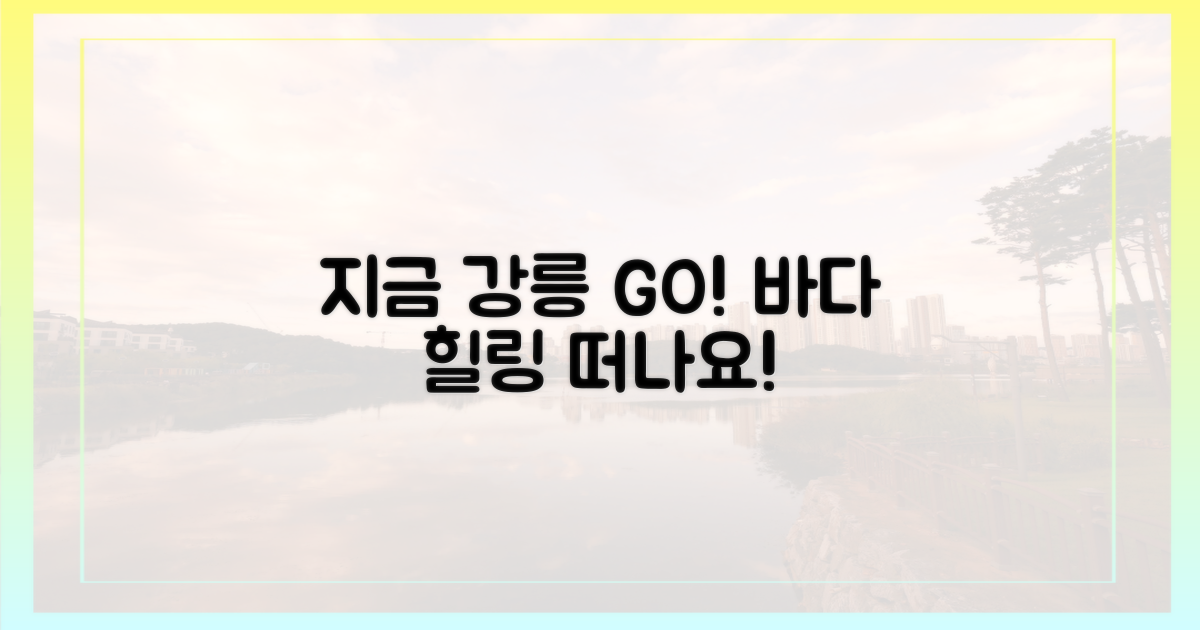 지금 강릉으로 떠나세요!