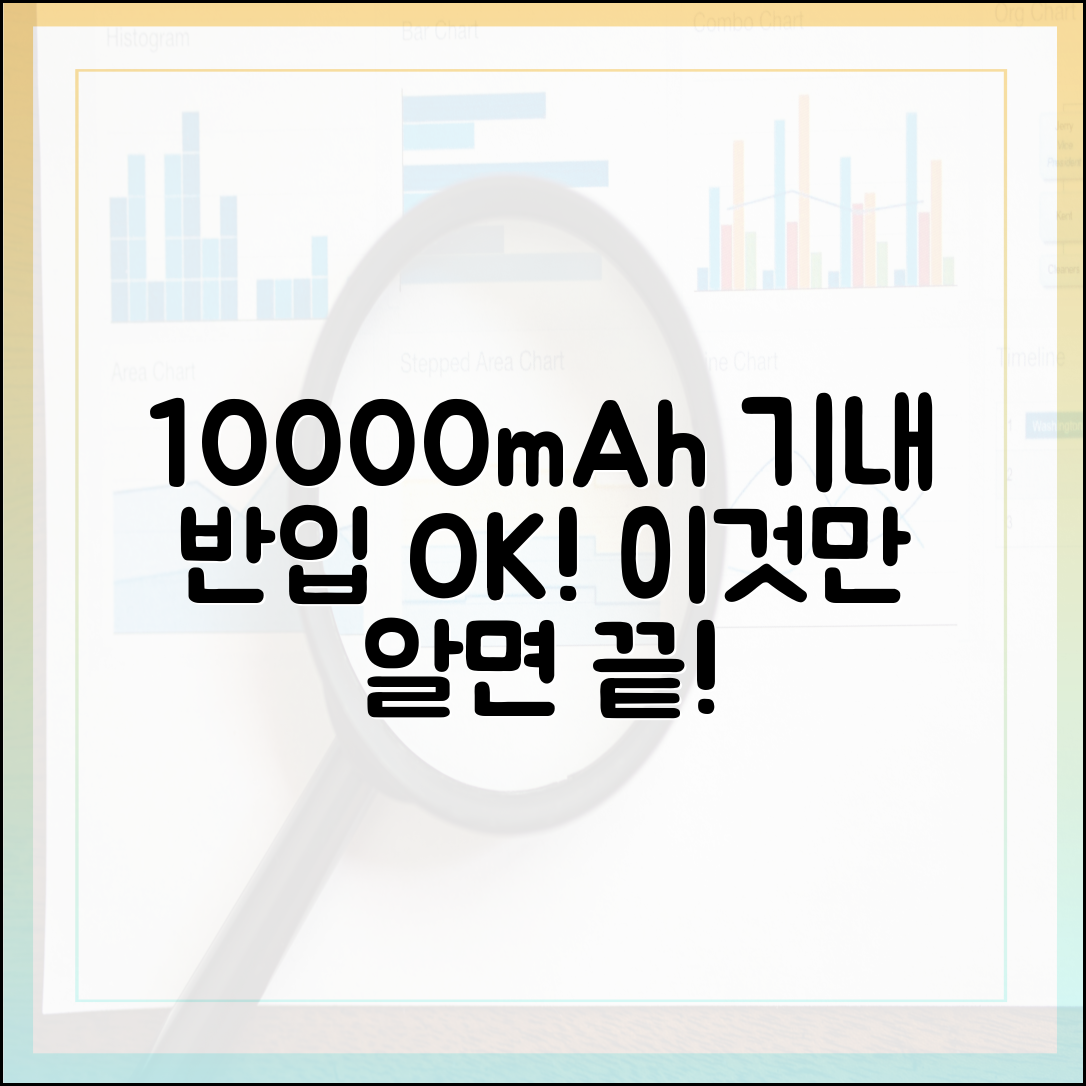 "이것만 알면 끝!" 10000mAh 보조배터리 기내 반입 완전 정복