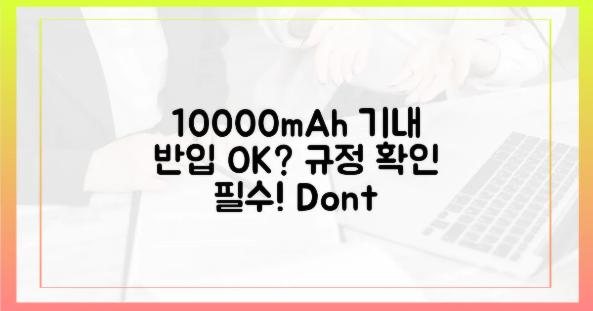 10000mAh 기내 반입 규정
