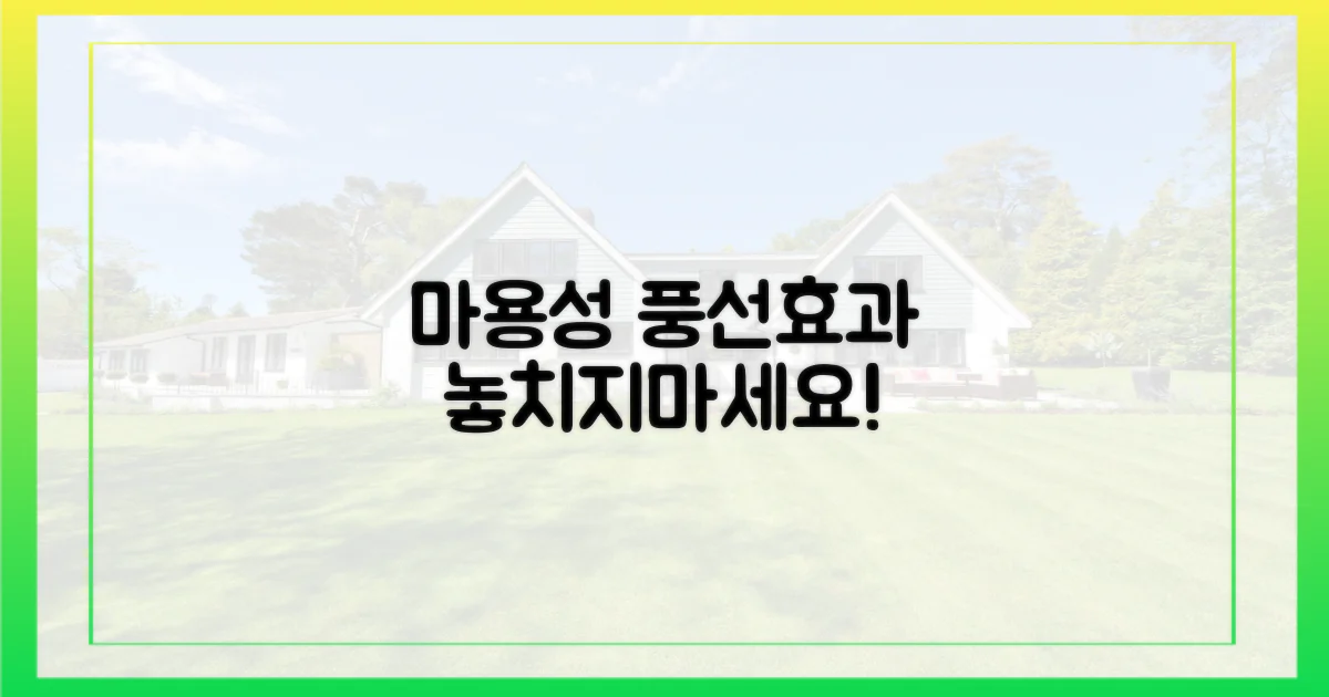 마용성 풍선효과, 놓치지 마세요!