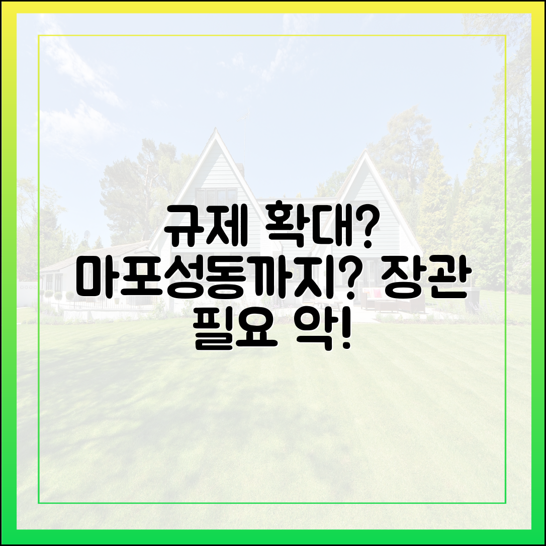 마포·성동까지 덮치나? 국토부 장관, 규제 확대 "필요 악