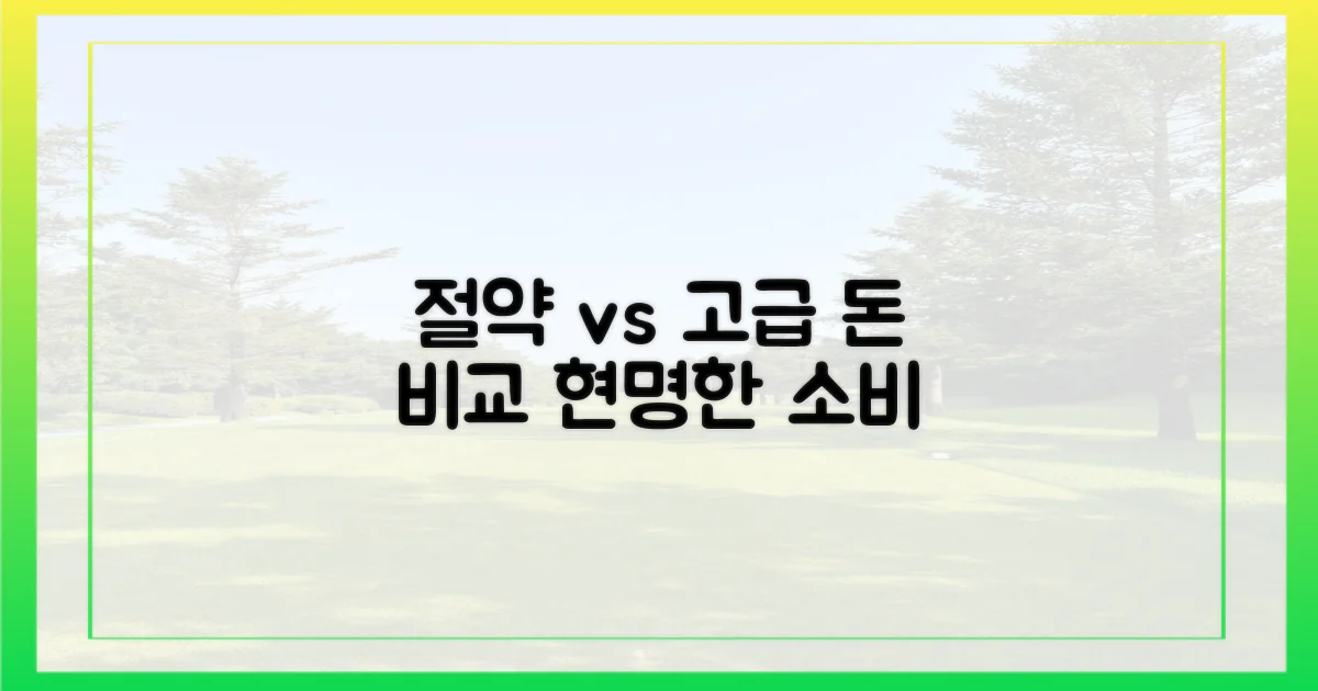 예산 비교: 절약 vs 고급