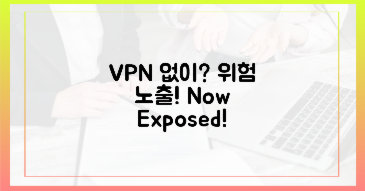 VPN 없는 위험 노출