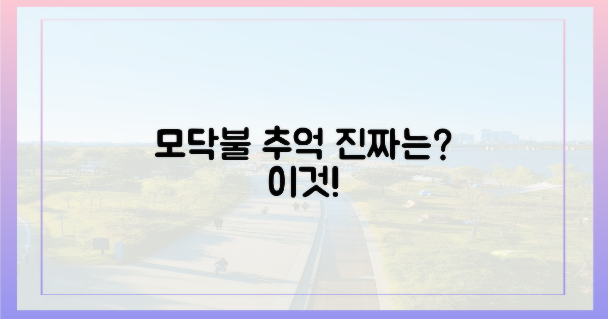 모닥불의 추억', 진짜는?