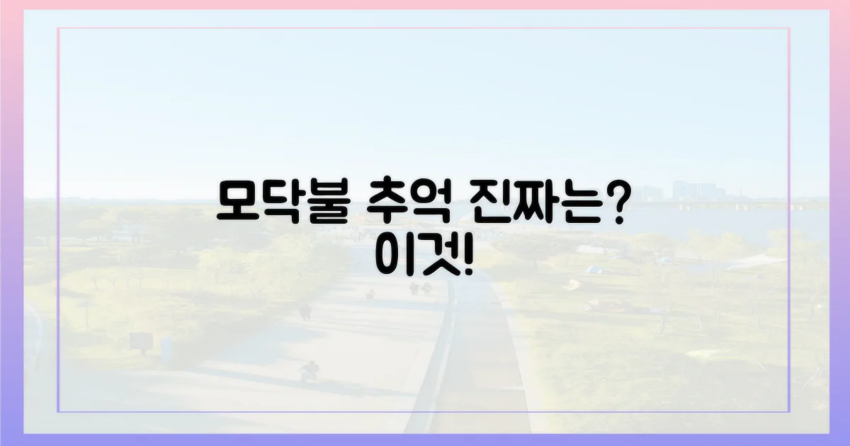 모닥불의 추억', 진짜는?