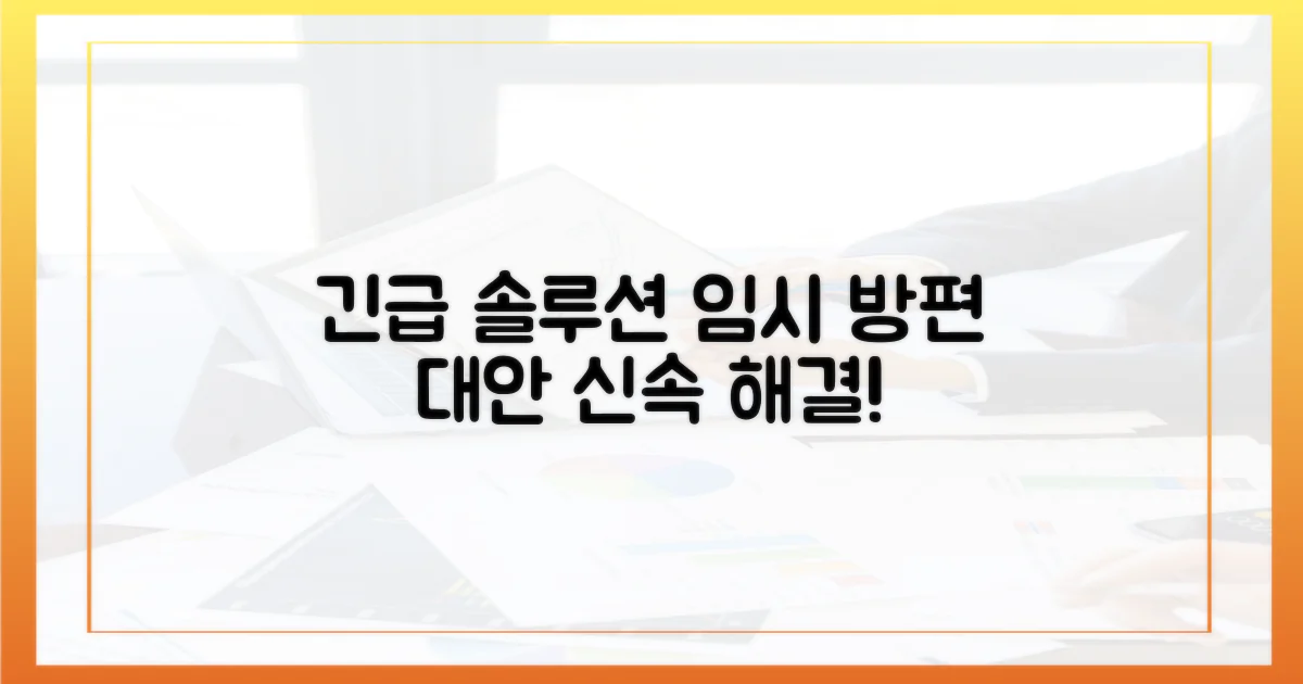 임시 조치와 대체 방안 모색