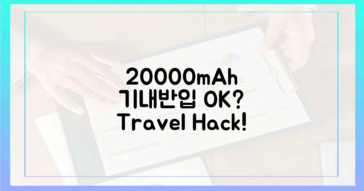 20000mAh, 기내 반입 가능할까?