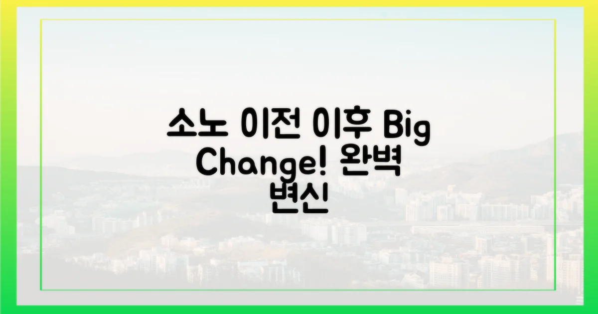 소노 이전 vs 이후