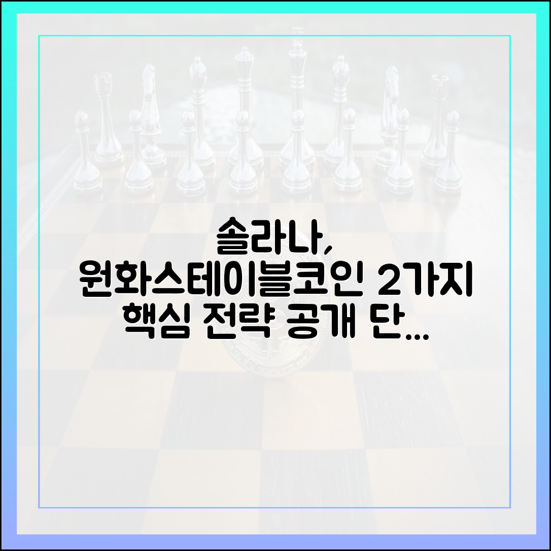 단독] 솔라나, 원화스테이블코인 발행 2가지 전략 공개