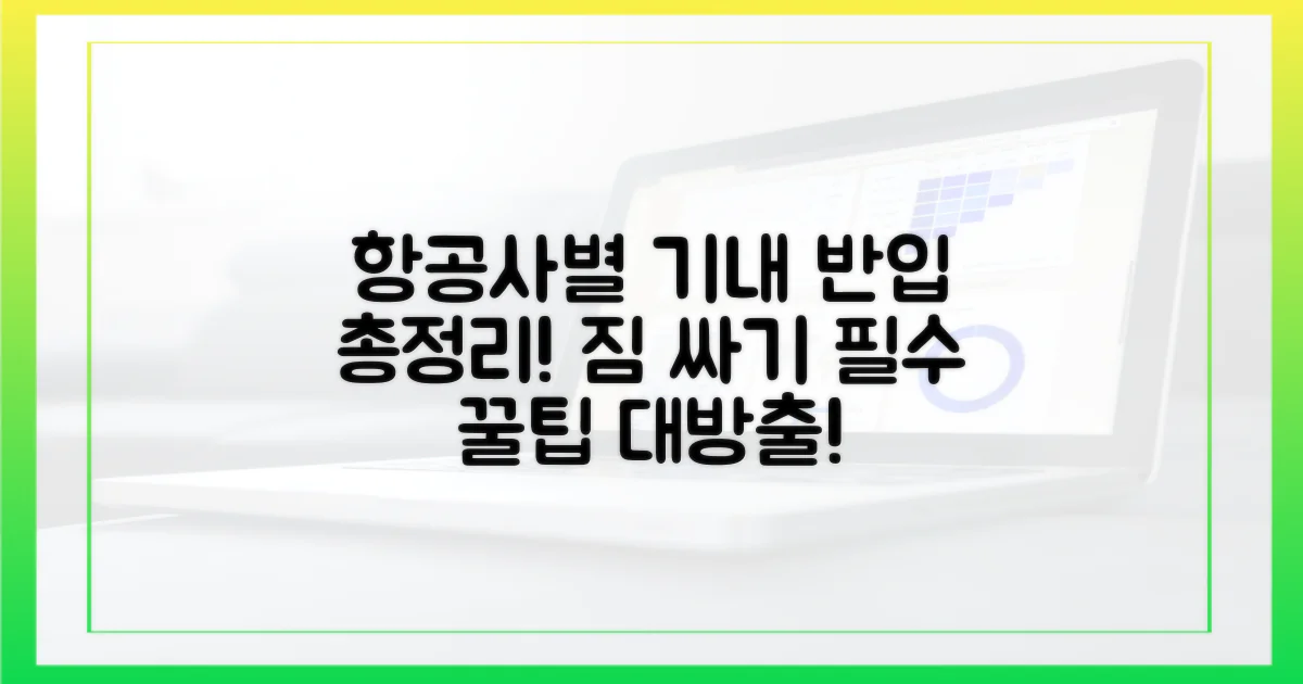 항공사별 반입 용량 총정리