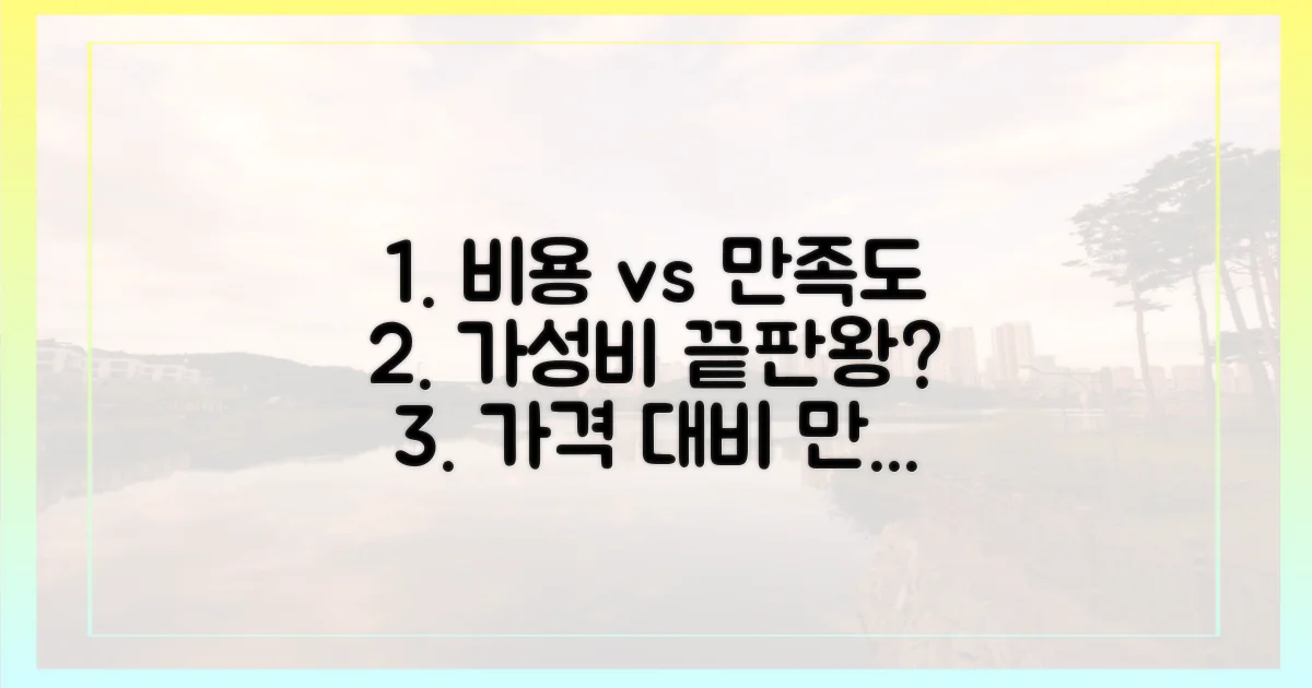 비용 vs 만족도, 가성비