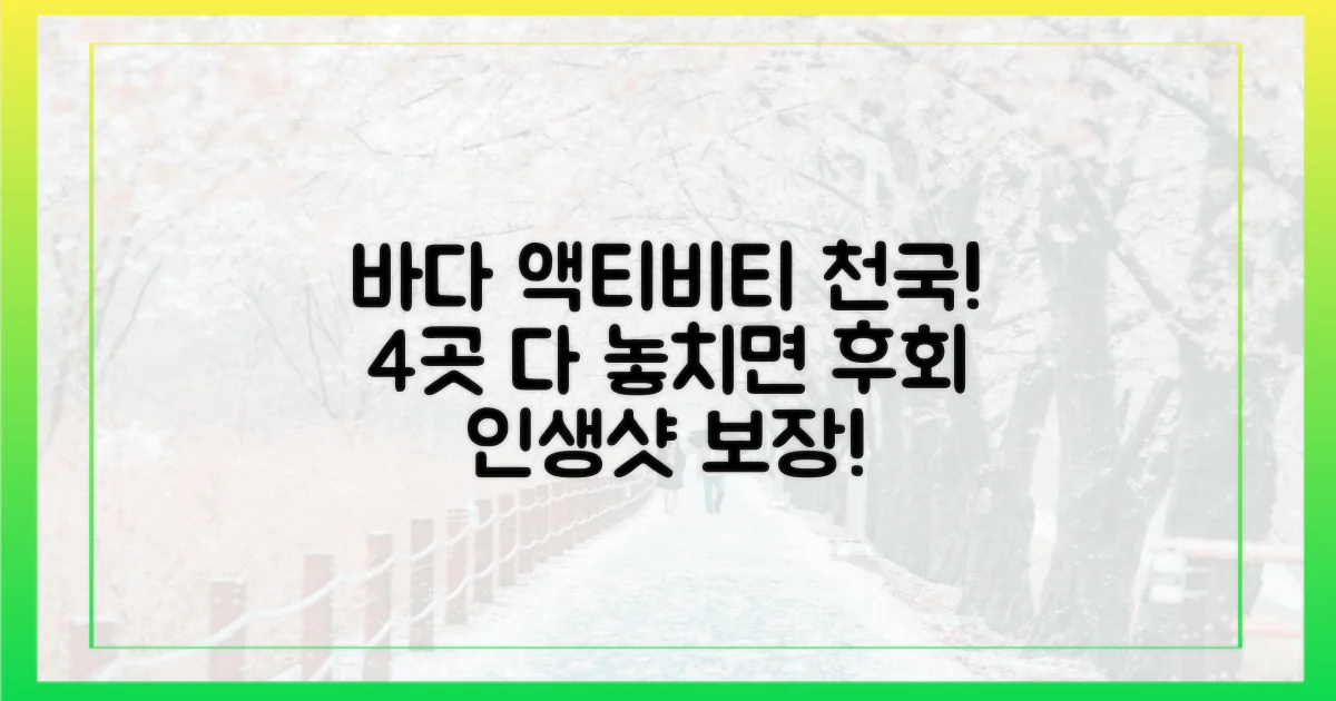 4곳 모두 해변 액티비티 완벽