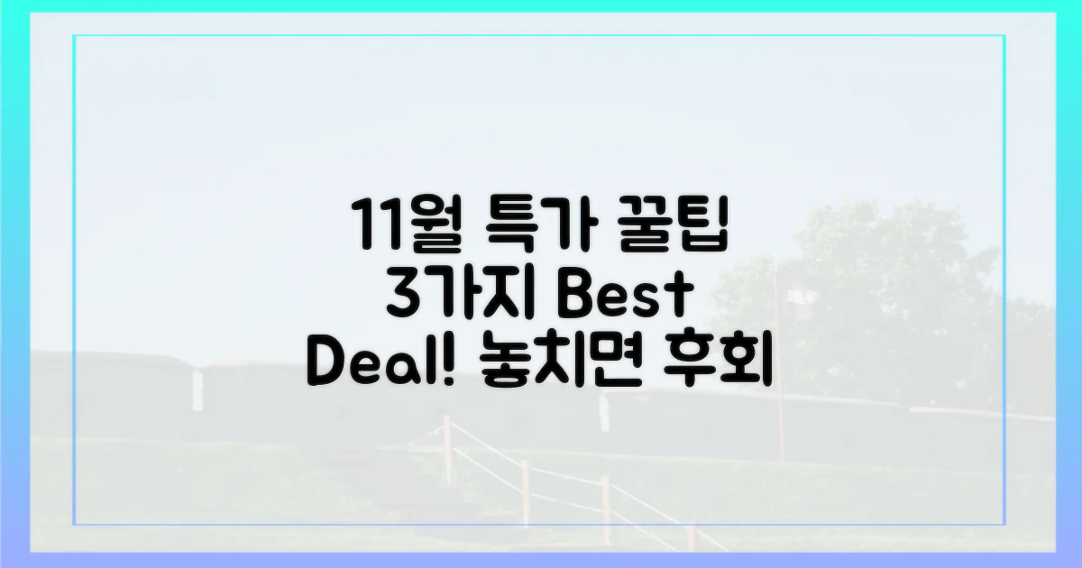3가지 꿀팁: 11월 특가 활용