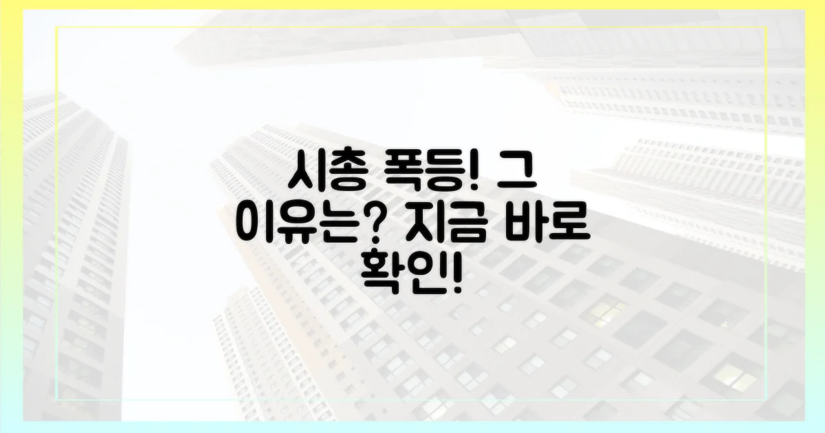 시총 상승, 왜 이렇게 올랐을까?