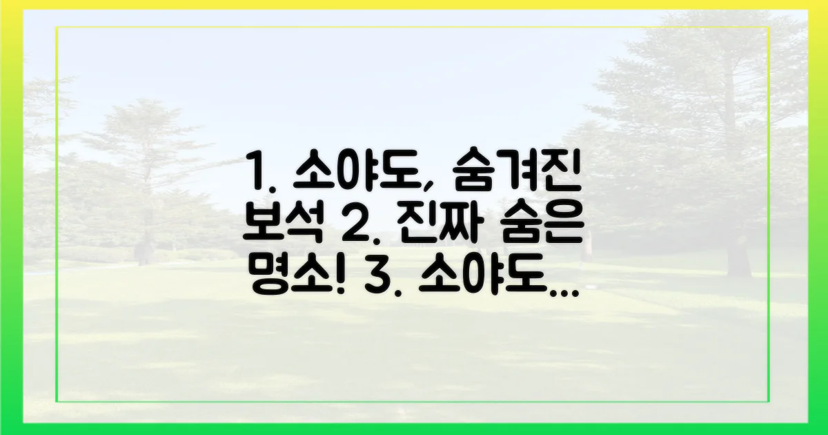 소야도, 왜 '숨겨진' 보석인가