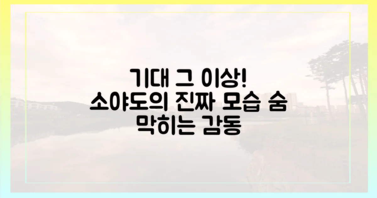 기대 이상, 현실의 소야도