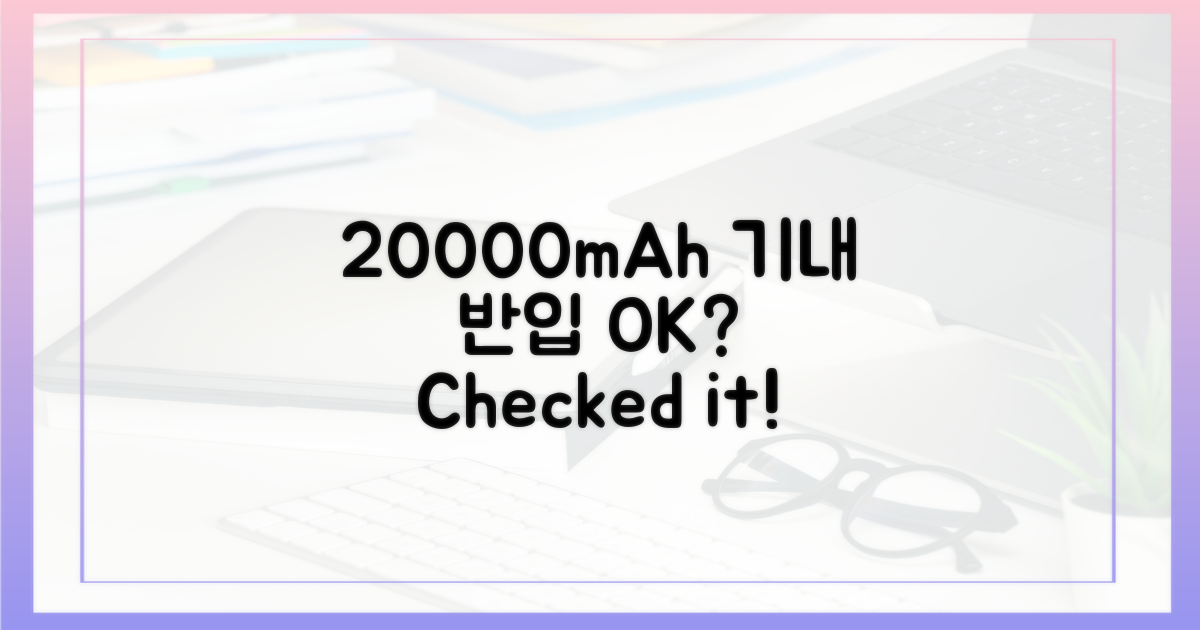 20000mAh, 기내 반입 가능할까?