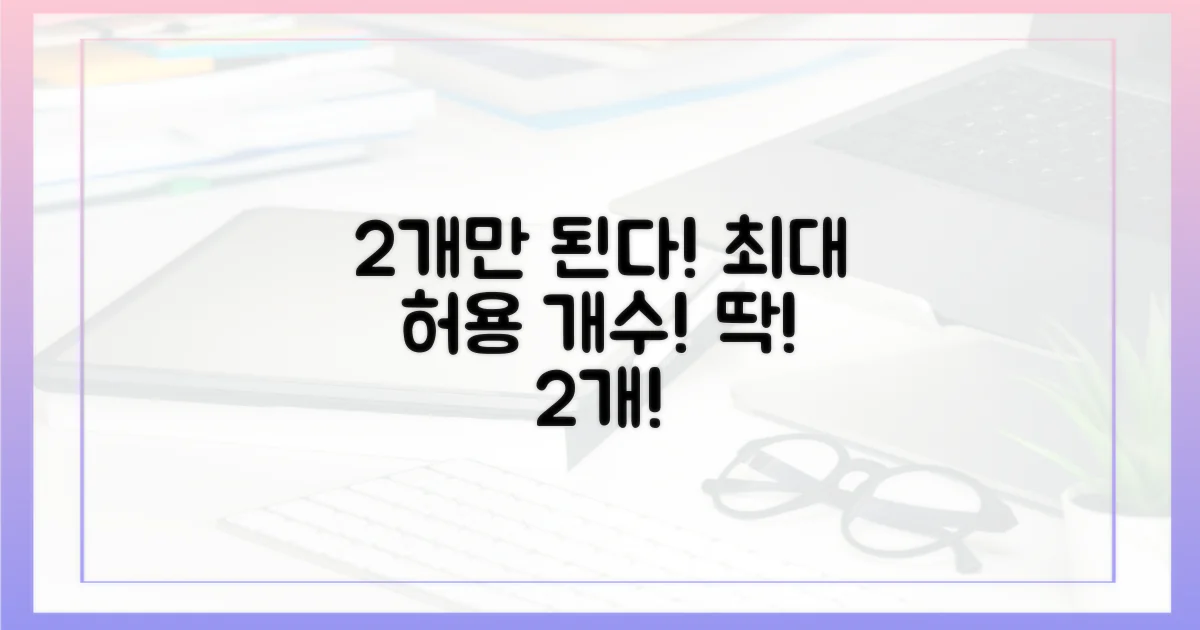 2개까지 허용되는 개수