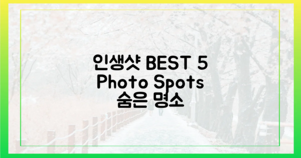 인생샷 명소 BEST 5