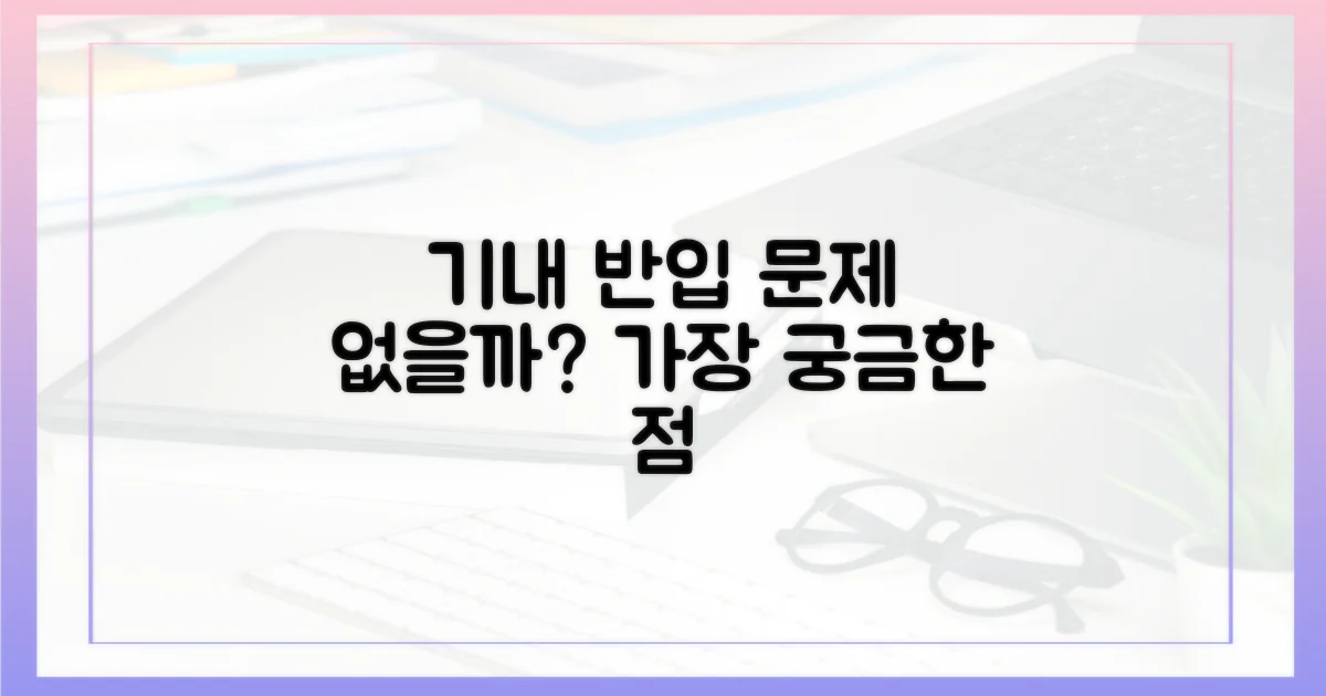 기내 반입, 문제 없을까?