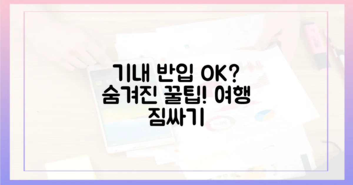 기내 반입 가능할까?