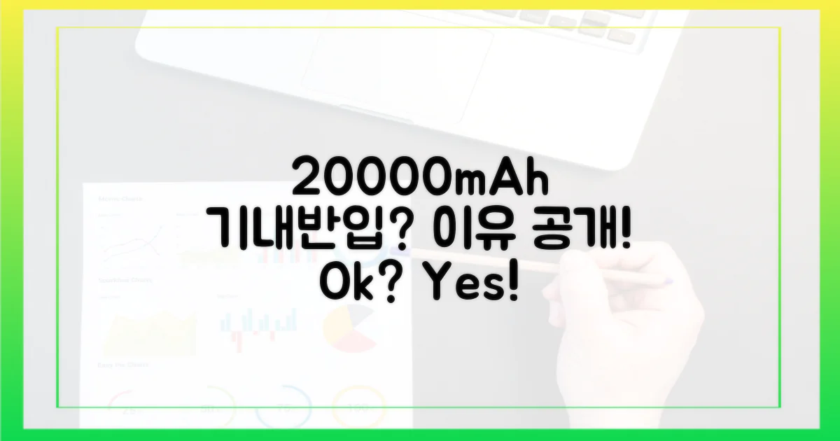 20000mAh, 기내 반입 가능한 이유