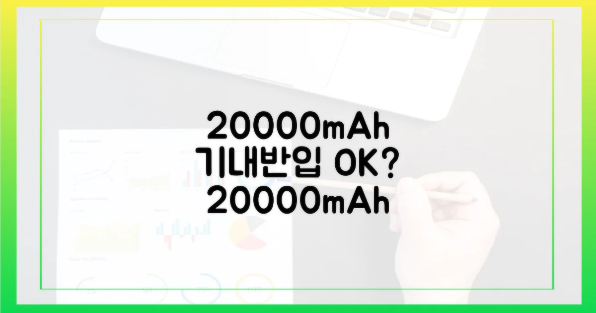 20000mAh 기내 반입 규정