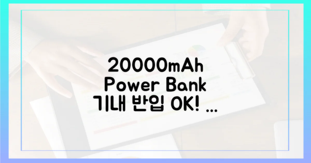20000mAh, 기내 반입 규정