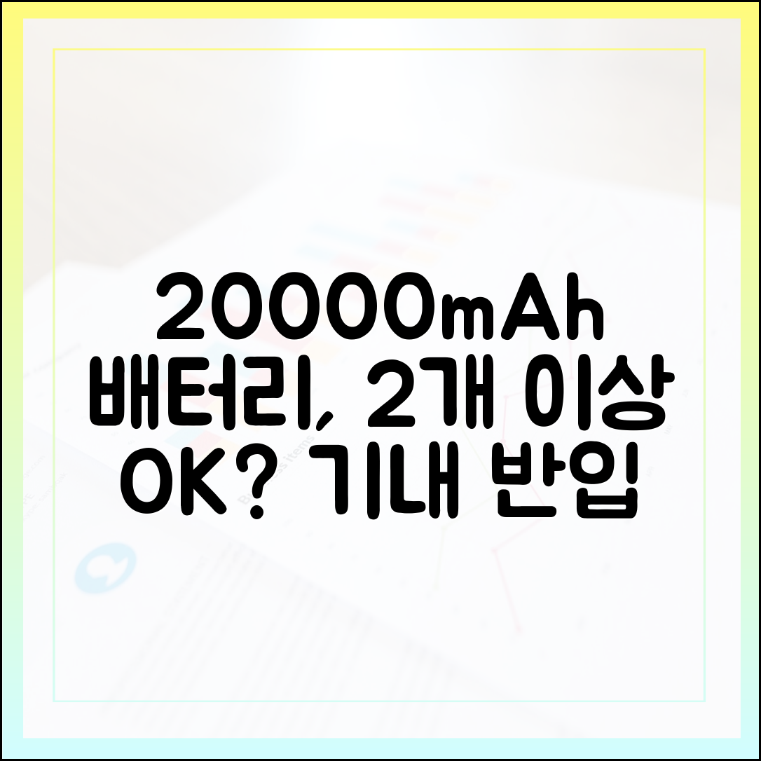비행기 탑승 시 20000mAh 보조배터리, 2개 이상 가져가도 될까?