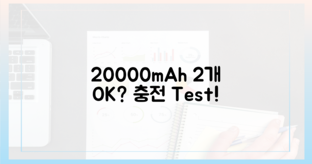 2개의 20000mAh 허용 여부