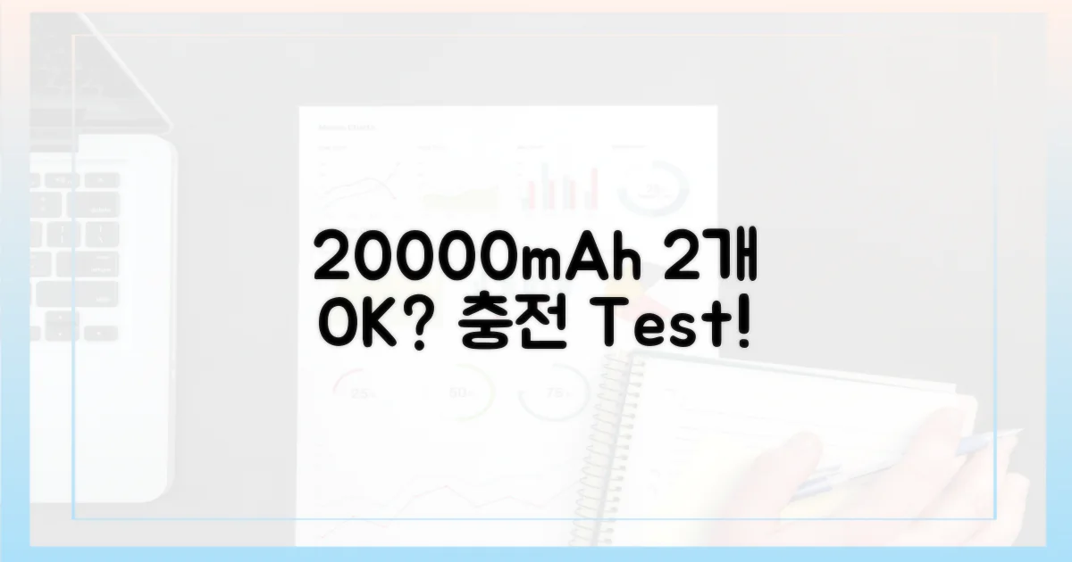 2개의 20000mAh 허용 여부