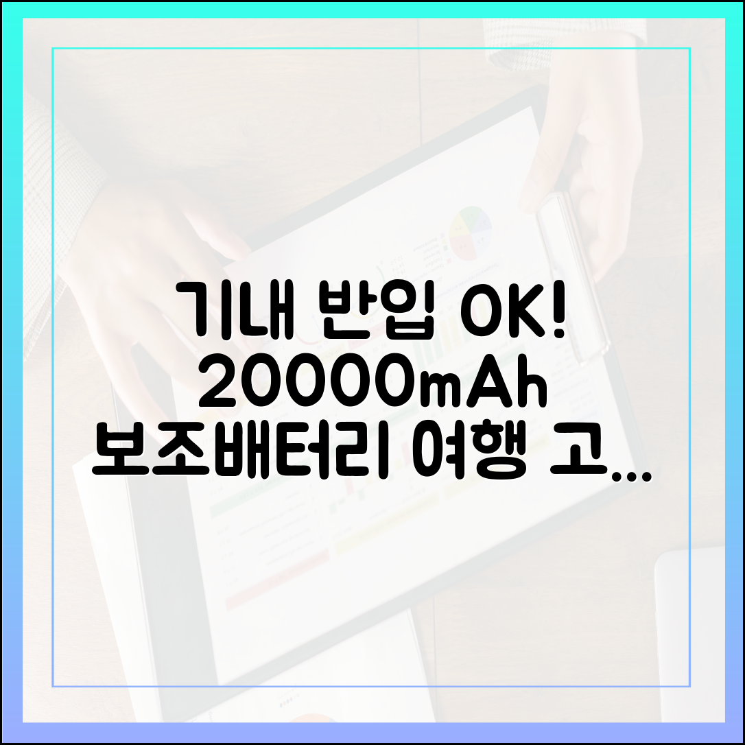여행 고수만 아는 20000mAh 보조배터리 기내 반입 노하우