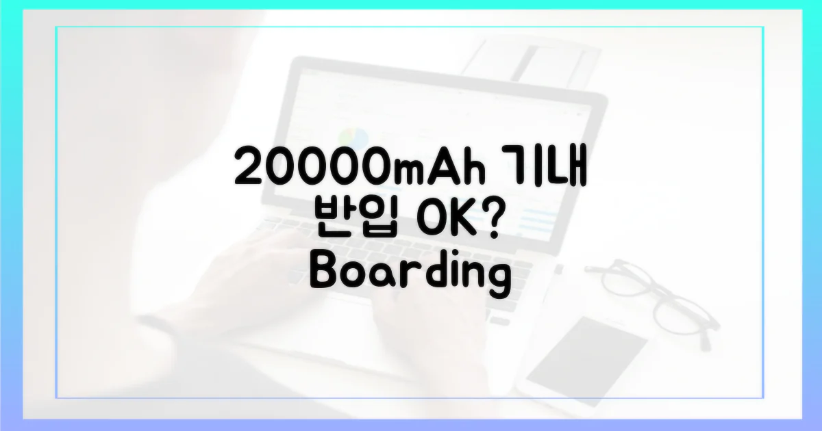 20000mAh, 기내 반입 가능할까?