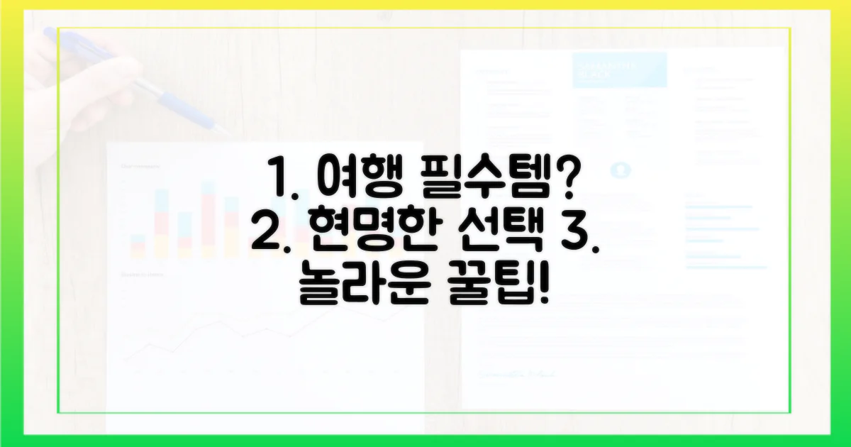 현명한 여행자의 필수템?