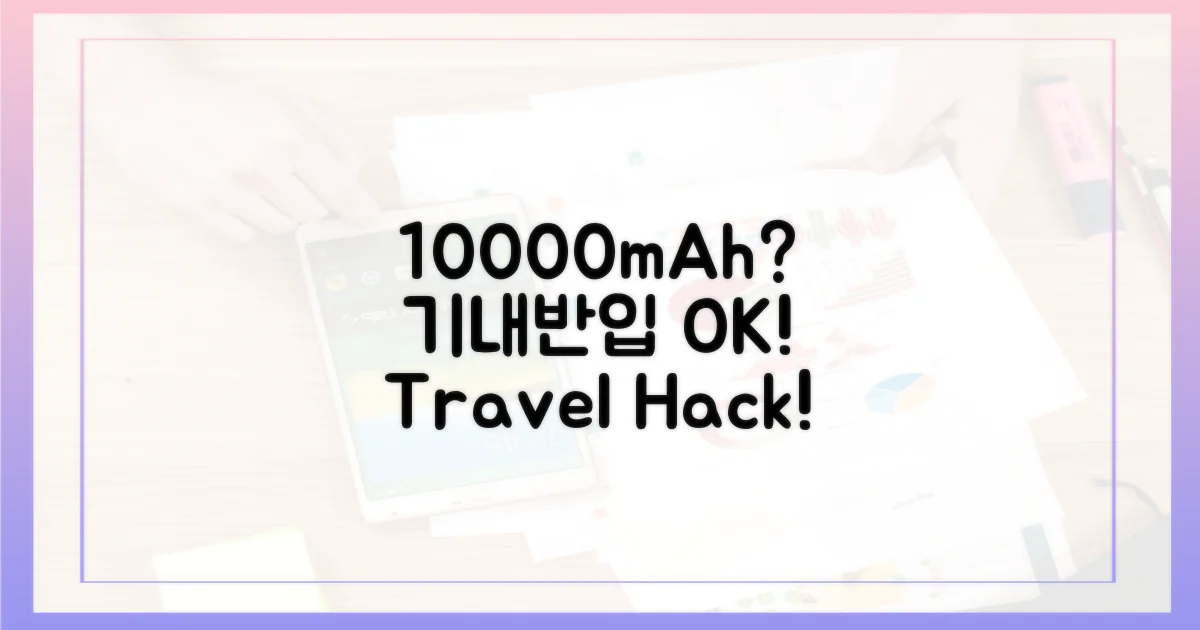 10000mAh, 기내 반입 가능할까?