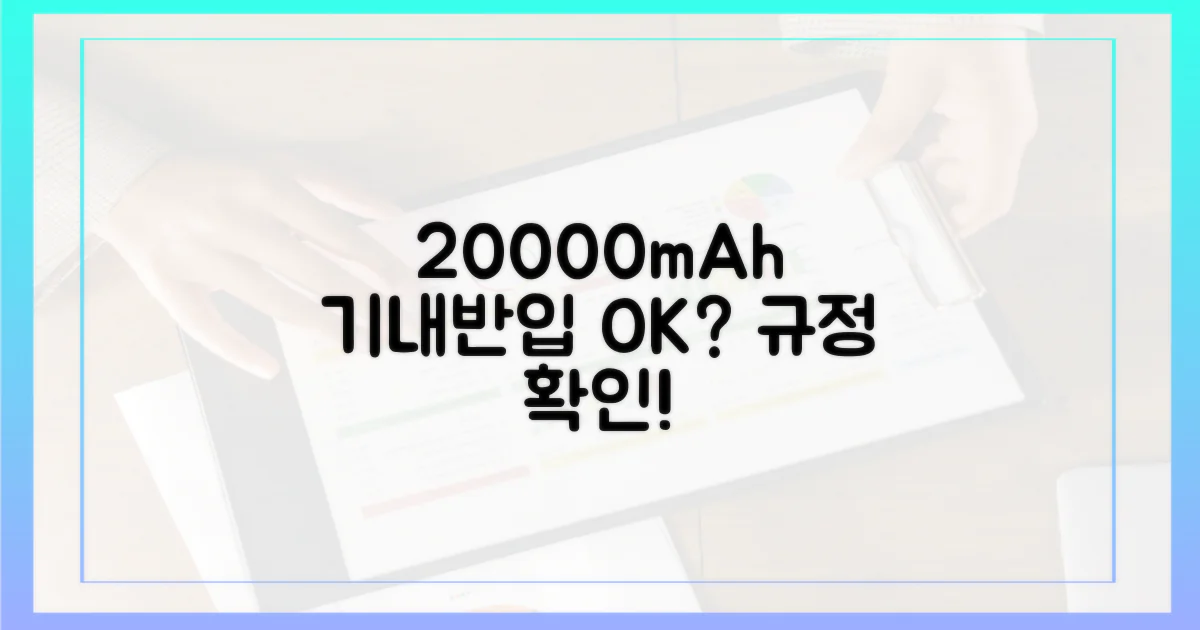 20000mAh 보조배터리, 기내 반입 규정 확인