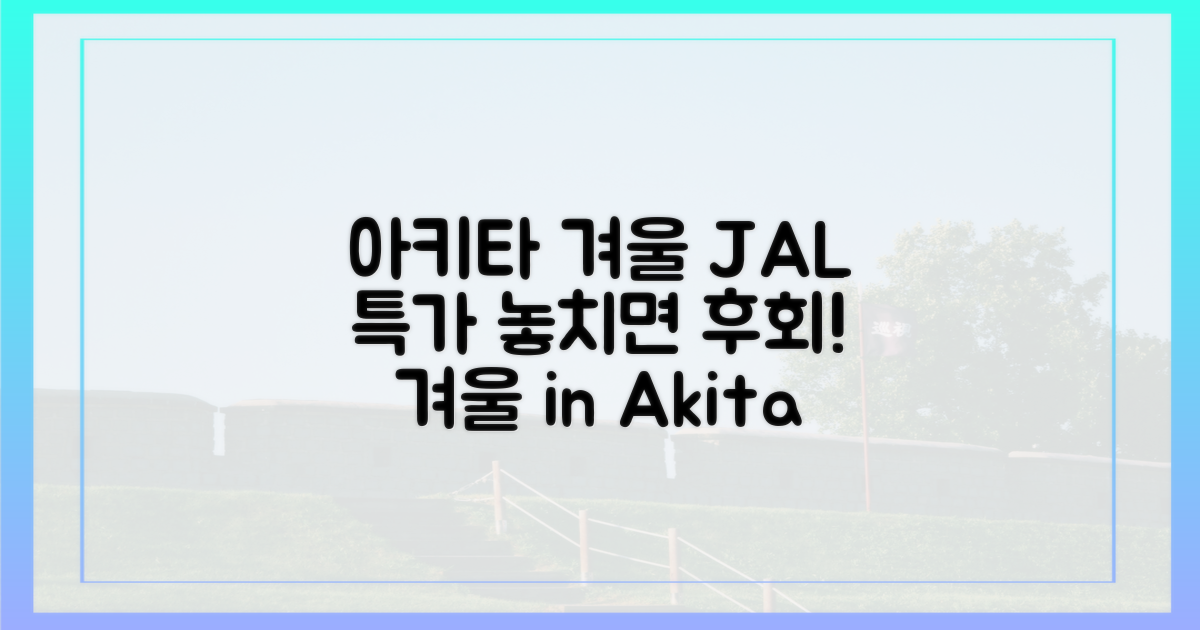 아키타 겨울, JAL 특가 찬스