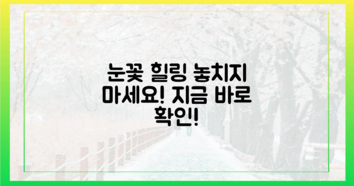 눈꽃 힐링, 놓치지 마세요